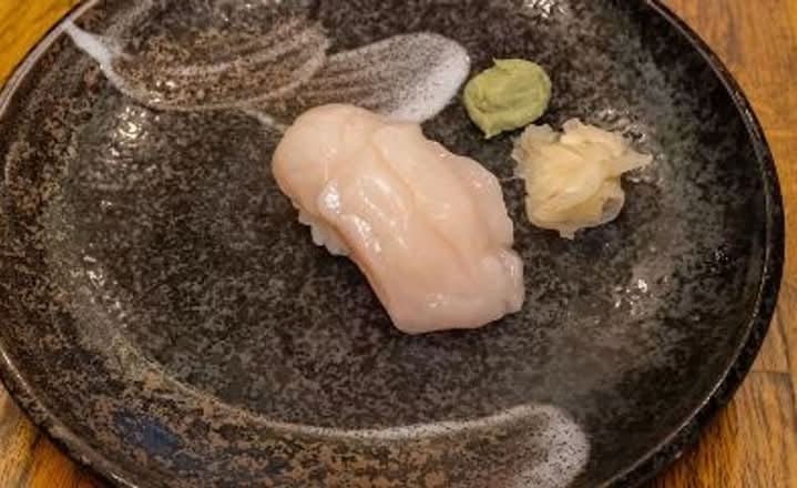 Sea Scallop.